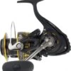 BG BLACK GOLD 3500 Moulinet Daiwa -Pêche à la mouche Soldes 00001 BG BLACK GOLD 3500 Moulinet Daiwa