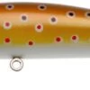 BKS 90 UEC3 BROWN TROUT