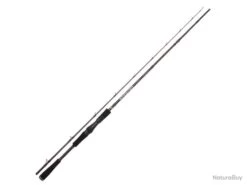 Canne Casting Spro Specter Finesse Pelagical H 2 132g 30 - 80g 2m00