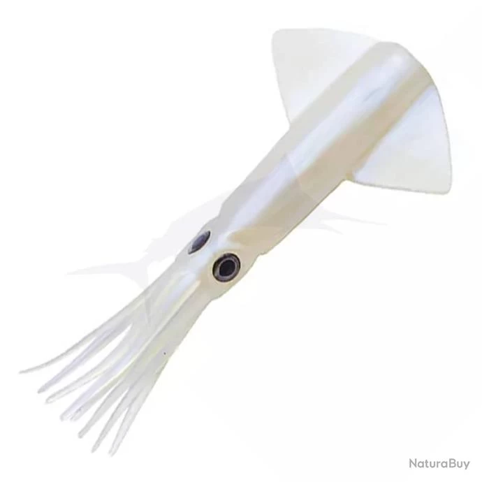 JLC XIPI Corps BLUE FLASHES #7 3 JLC XIPI Corps BLUE FLASHES #7