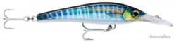 Leurre Rapala X-rap Magnum Xtreme 16 Cm HDWHU