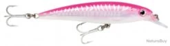 Leurre Rapala X-rap Saltwater 10 Cm HPU