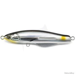 NS Black Hole Boca Pencil Coulant 001 Sardin