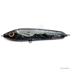 ASWB F1 130-215mm Bungarra Abalone