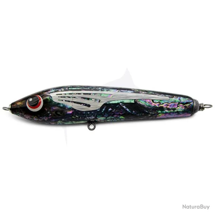 ASWB F1 130-215mm Bungarra Abalone 3 ASWB F1 130-215mm Bungarra Abalone