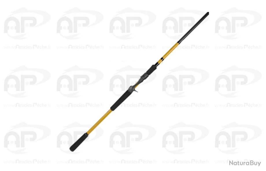 Canne Casting BFT Instinct Reloaded 2 2,40m 130g 3 Canne Casting BFT Instinct Reloaded 2 2,40m 130g