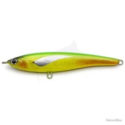 Jack Fin Pelagus 165-S Parrot