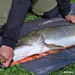 Toise Savage Gear Measure Up Roll 13x130cm -Pêche à la mouche Soldes 00004 Toise Savage Gear Measure Up Roll 13x130cm